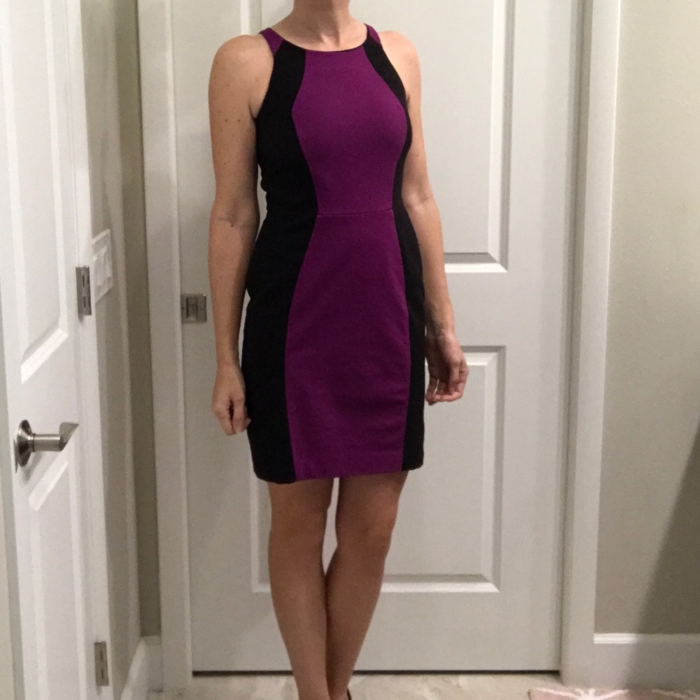Worthington Fitted Dress Sz 6